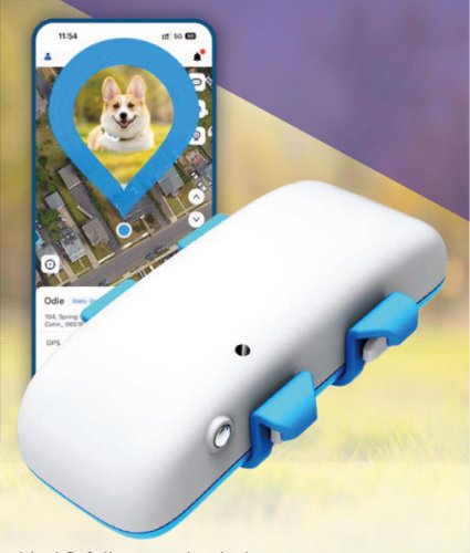 Rastreador GP30 para ganado y mascotas